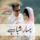 آیکون‌ Bahar e Shabab