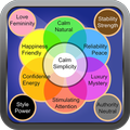 Color Psychologist