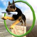 Dog Stunts & Simulator 3D - Crazy Dog Games APK