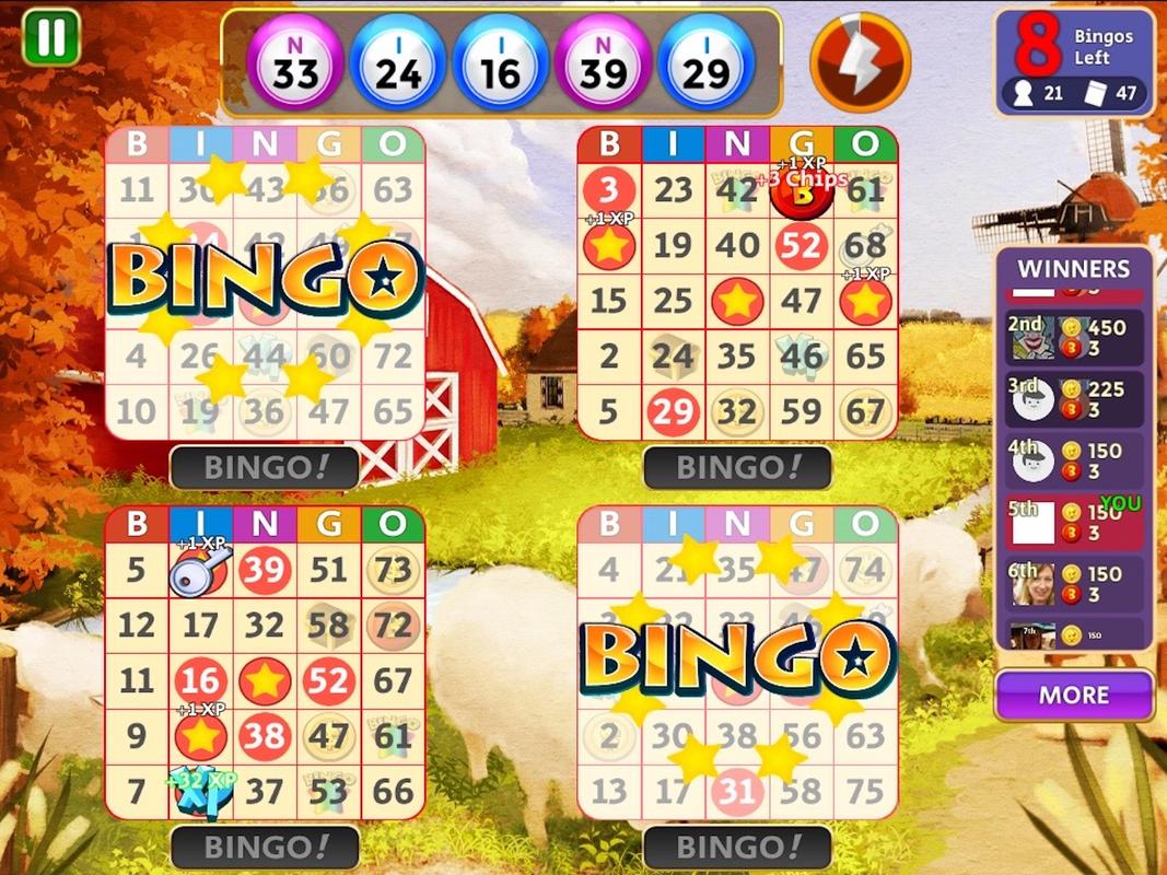 The Star Bingo The Star Bingo