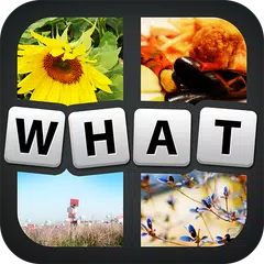 1 Word in 4 Pics APK 下載