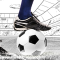 Soccer Champs Return