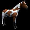 Horse game APK