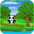 Rolling Animal games