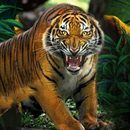 Tiger Hunter 2018 APK