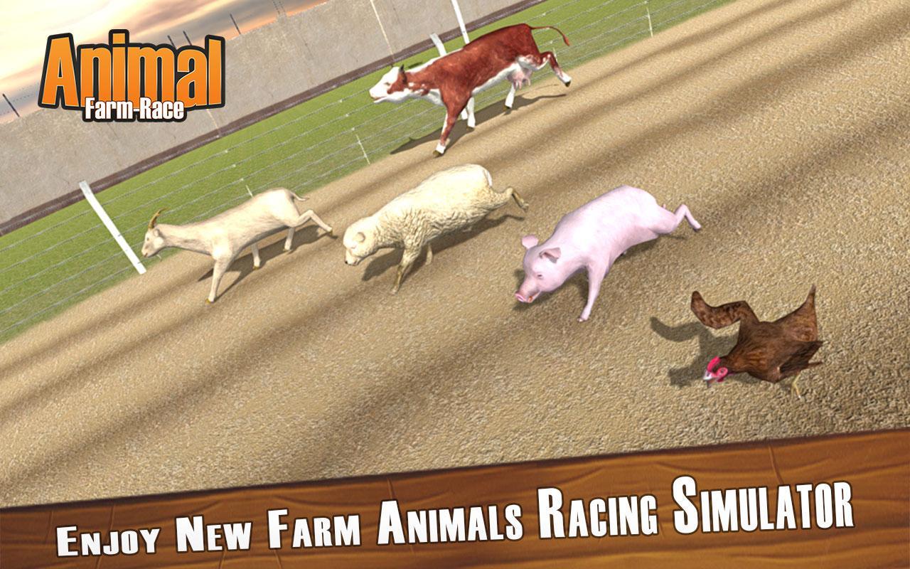 Animal race. Farm animal Racing. Calvin Tucker's Farm animal Racing.