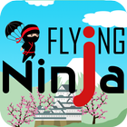 Flying Ninja-icoon