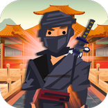 Samurai Ninja