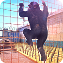 Elite Apes Training Free APK