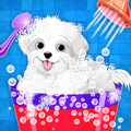 Puppy Salon - Pet Daycare