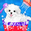 Puppy Salon - Pet Daycare