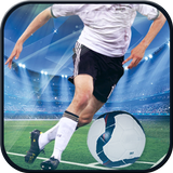Play Euro Football Cup 3D Game icône