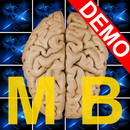 Memory Blocks Demo APK