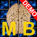 Memory Blocks Demo icône