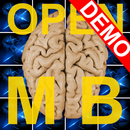 Open Memory Blocks Demo APK