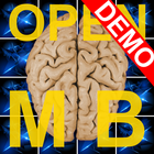 Open Memory Blocks Demo icon
