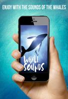 🎧🐳Whale Sounds🐳🎧 पोस्टर