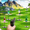 3D Bottle Shoot Game