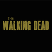 GUIDE : the walking dead road to survival APK