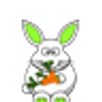 Rabbit Run APK