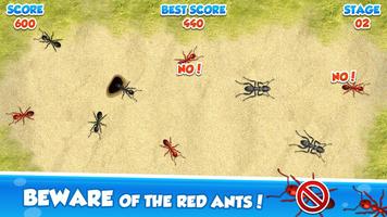 Crush the Ant Smasher Game スクリーンショット 2