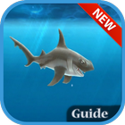 Guide : Hungry Shark Evolution ไอคอน