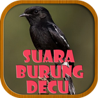 Suara Burung decu آئیکن