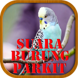 Suara Burung  Parkitt