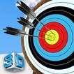 Final Archery: amera 360, bromasters & taget game