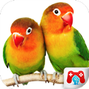 Educational Game Real Birds APK