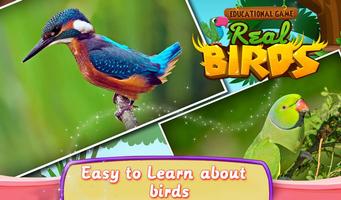 Educational Game Real Birds screenshot 3