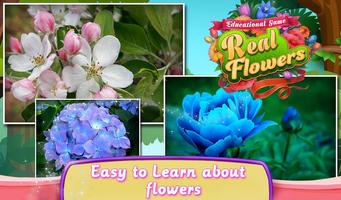 Educational Game Real Flowers screenshot 3