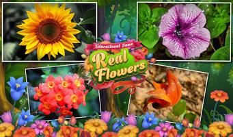 Educational Game Real Flowers poster