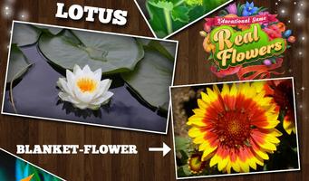 Educational Game Real Flowers screenshot 1