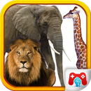 Preschool Real Animals APK