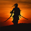 Shadow Revenge 2 - Ninja Revenge APK