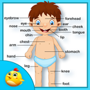 Pièces Baby Learning corps hum APK