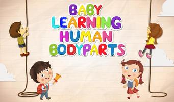 Pièces Baby Learning corps hum Affiche