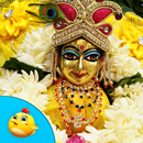 Ladoo Bal Gopal Seva APK