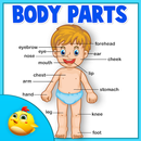 Learning Human Body Part 1 APK