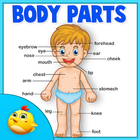 Learning Human Body Part 1 icône