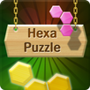 Puzzle Master Hexa APK