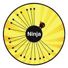 Stone Ninja  Crazy icône