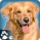 PetDog Game APK