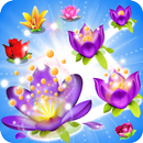 Blossom Crush Mania APK