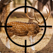 Real Deer Hunter