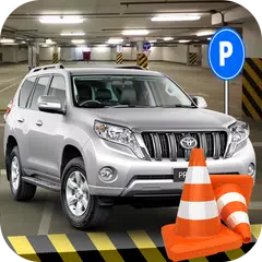 Prado Car Parking Challenge