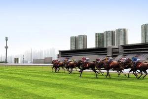 iHorse Betting 2 ảnh chụp màn hình 2