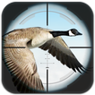 Flying Bird Hunting