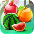 Fruits Crush Splash